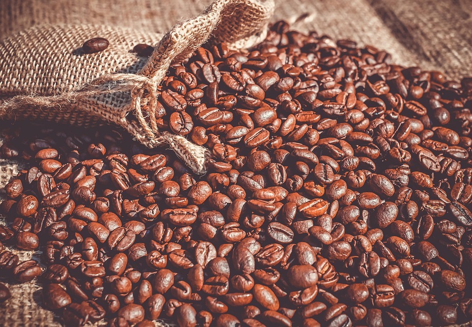 the role of antioxidants in coffee and fat loss